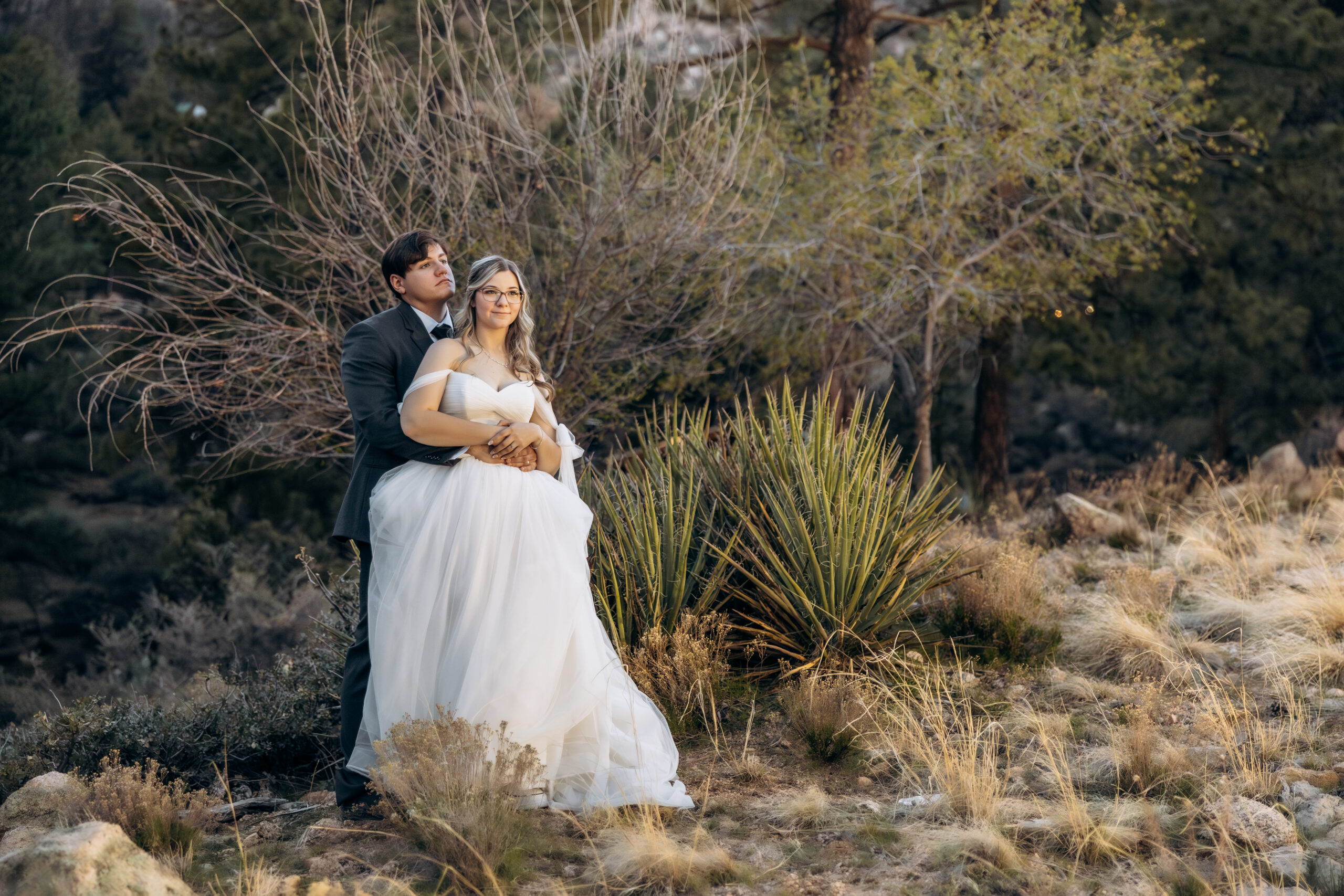 Bride and groom portrait desert mountain landscape Kingman Arizona wedding photographer